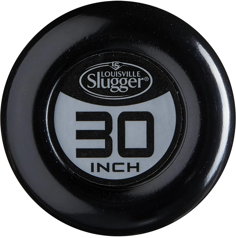 Louisville Slugger Kids' 2020 Quest Alloy Fast-Pitch Softball Bat (-12)