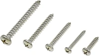 Marine Raider 68-Piece Stainless-Steel Pan-Head Screw Kit