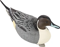 Game Winner FlexTuff Pintail Decoys 6-Pack