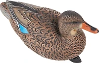 Game Winner FlexTuff Mallard Decoys 6-Pack