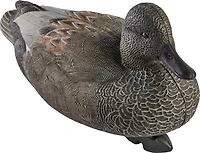Game Winner FlexTuff Gadwall Decoys 6-Pack