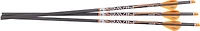 Ravin Match-Grade 400-Grain Lighted Arrows 3-Pack