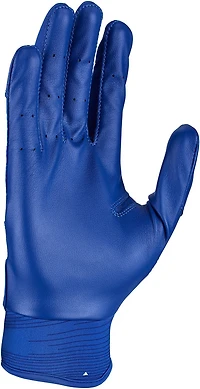 Nike Adults' Alpha Huarache Edge Batting Gloves