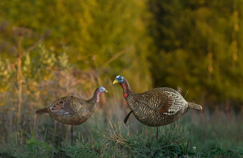 Game Winner Premium Jake Decoy