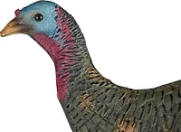 Game Winner Premium Hen Decoy