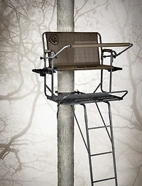 Game Winner Platform 2-Man Ladder Stand