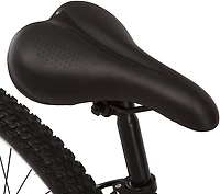 Schwinn Women's High Plains 26 in 21-Speed Mountain Bike