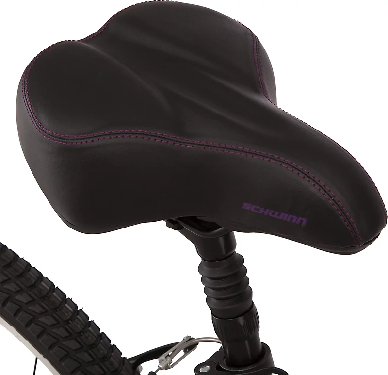 Schwinn Women's Suburban ALX 26 in 21-Speed Comfort Hybrid Bike