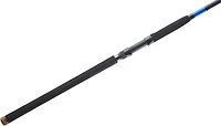 Daiwa Beefstick 10 ft MH Surf Spinning Rod