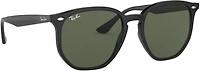 Ray-Ban RB4306 Polarized Classic Sunglasses