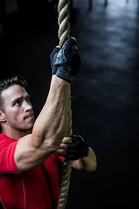 Harbinger Men's Pro Gloves