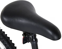 Magna Boys' Throttle 20 Bike