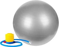Sunny Health & Fitness 65 cm Antiburst Gym Ball