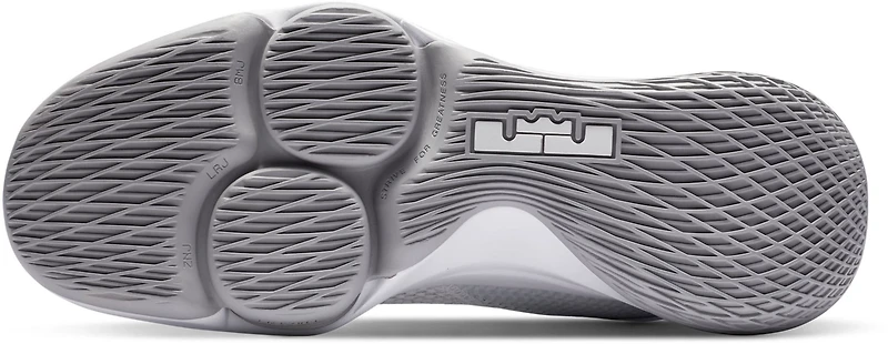 Nike Men's LeBron Witness IV Team Basketball Shoes