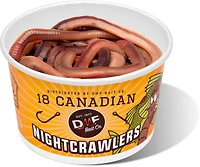 DMF Bait Canadian Nightcrawlers 18-ct