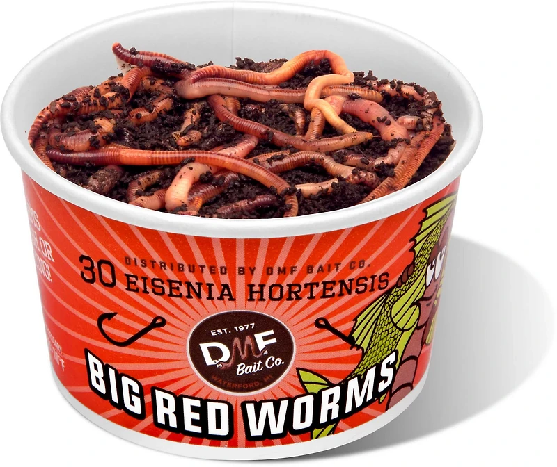 DMF Bait Big Red Worms 30-ct