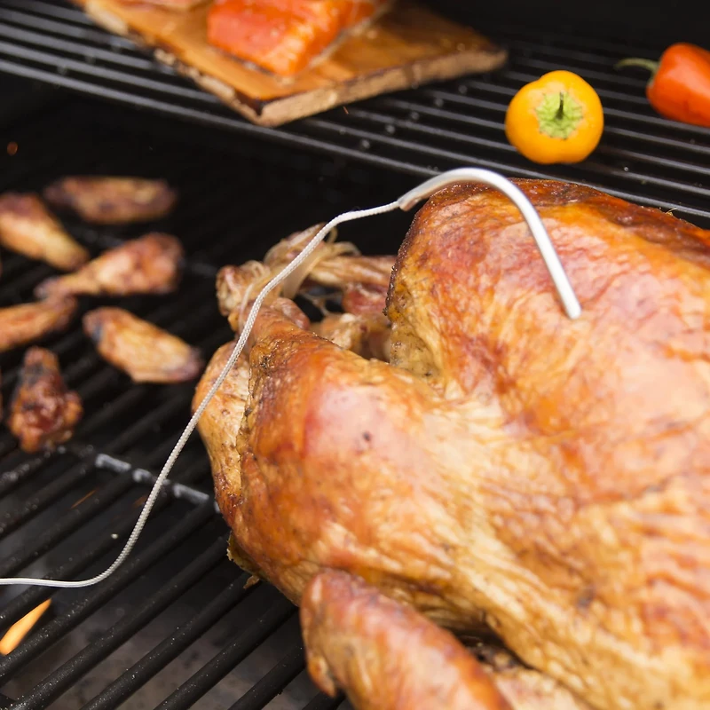 Pit Boss Meat Probes 2-Pack