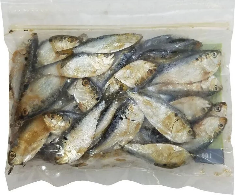 DMF Bait Shad 6-ounces