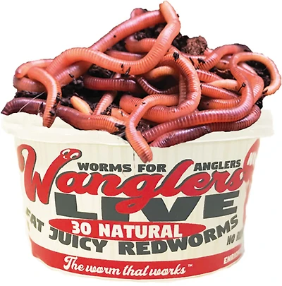 Best Catch Bait Wanglers Original Natural Worm Baits