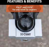 CURT Hitch and Coupler Lock Set