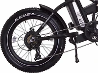 GoPowerBike GoExpress Foldable 750W 20 in Electronic Bike