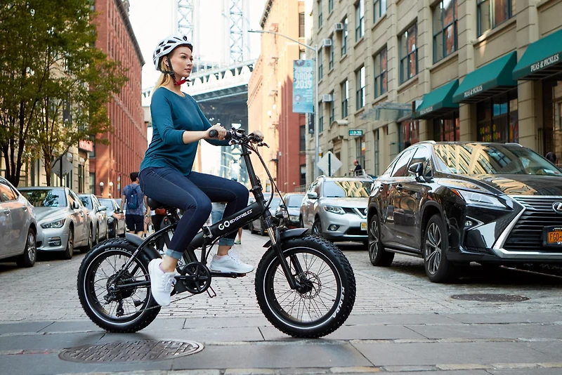 GoPowerBike GoExpress Foldable 750W 20 in Electronic Bike