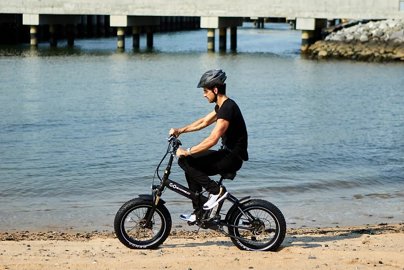 GoPowerBike GoExpress Foldable 750W 20 in Electronic Bike