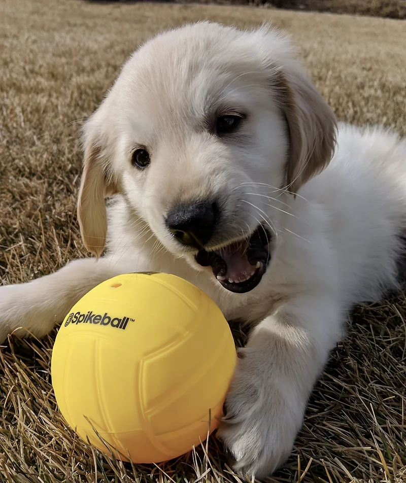 Spikeball Replacement Balls 2-Pack