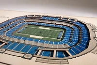 YouTheFan Carolina Panthers 5-Layer StadiumViews 3-D Wall Art
