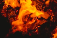 Jealous Devil Maxxx Extra Large Briquetes, 10 lb