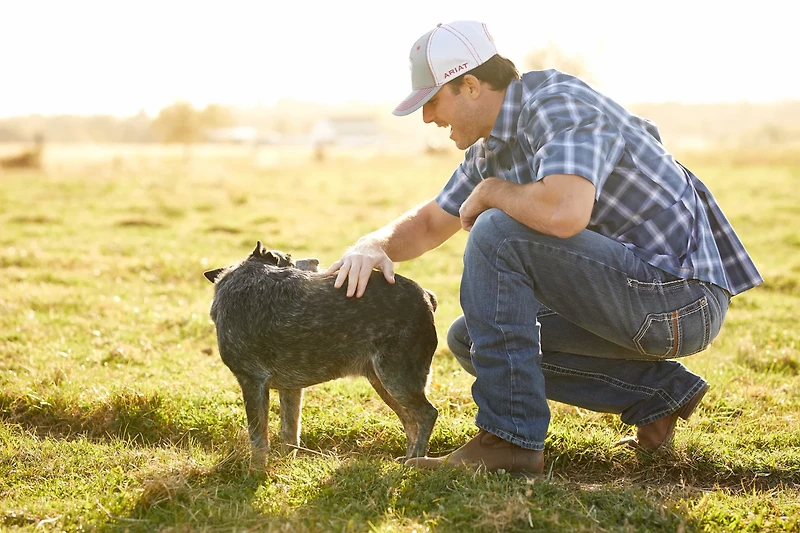 Ariat Men's M4 Low-Rise Coltrane Boot Cut Jeans