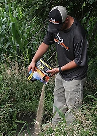 Ani-Logics 4 lb 180 Mineral Dirt