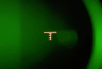 AGM Global Vision Wolverine Pro-6 Gen2 Level1 NV Riflescope