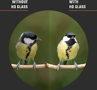 Athlon Optics Argos 20-60x85 45 Degree Spotting Scope