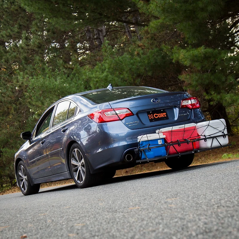 CURT 500 lb Cargo Carrier