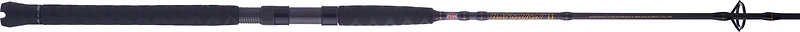 PENN Battalion II Inshore Spinning Rod