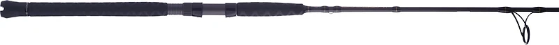PENN Battalion II Inshore Spinning Rod