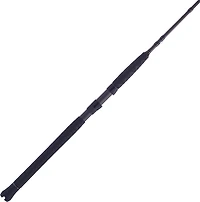 PENN Battalion II Inshore Spinning Rod
