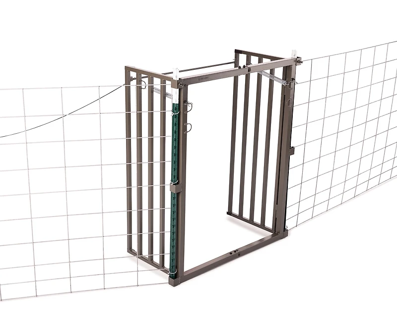 Game Winner Hog Trap Saloon Gate