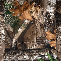 Realtree Low Back Seat Covers 2-Pack