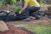 Muck Boot Women's Muckster II Low Rise Shoes