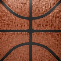 Wilson NBA Forge Pro Basketball