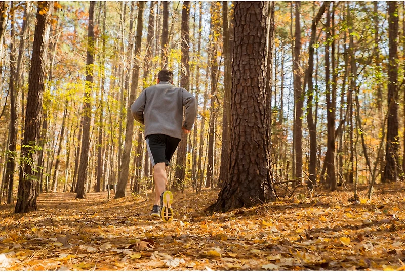 Spenco Polysorb Cross Trainer Insoles