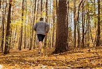 Spenco Polysorb Cross Trainer Insoles