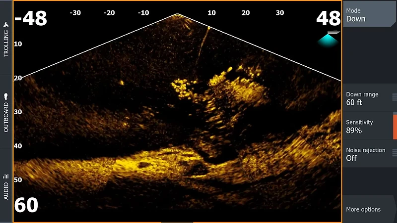 Lowrance ActiveTarget Live Sonar