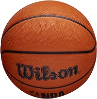 Wilson NBA DRV Series Mini Basketball