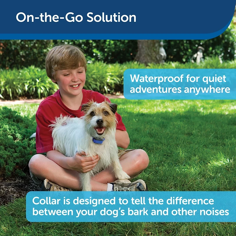 PetSafe Elite Little Dog Spray Bark Collar