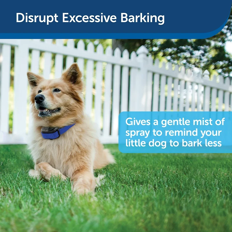 PetSafe Elite Little Dog Spray Bark Collar