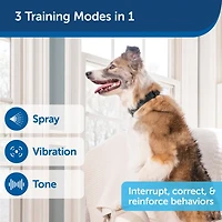 PetSafe 300 Yard Remote Spray Trainer