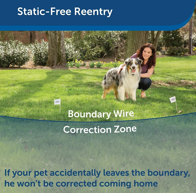 PetSafe Rechargeable In-Ground Fence